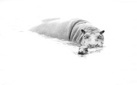 Black and White Photo Awards 2023