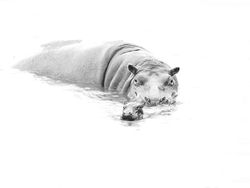 Jawara Kontes Foto Hitam Putih yang Mengesankan