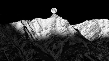 Finalis Lee Nordbye Foto: Black and White Photo Awards