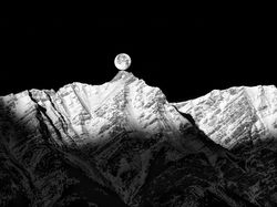 Jawara Kontes Foto Hitam Putih yang Mengesankan