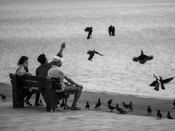 Jawara Kontes Foto Hitam Putih yang Mengesankan