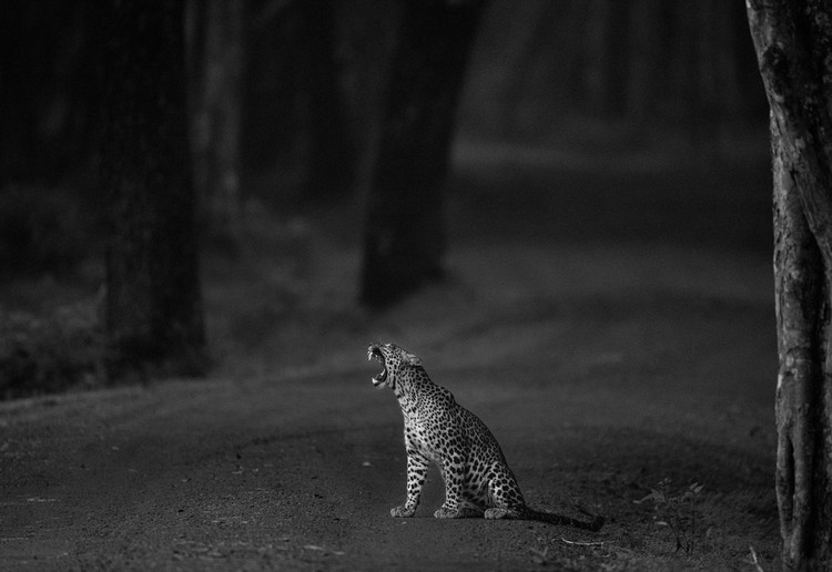 Black and White Photo Awards 2023