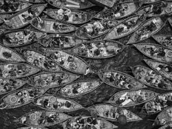 Jawara Kontes Foto Hitam Putih yang Mengesankan