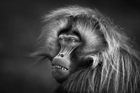 Black and White Photo Awards 2023