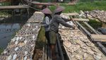 Hilirisasi Industri Pengolahan Perikanan