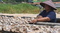 Progaram ini diharapkan dapat meningkatkan perekonomian nelayan.  
