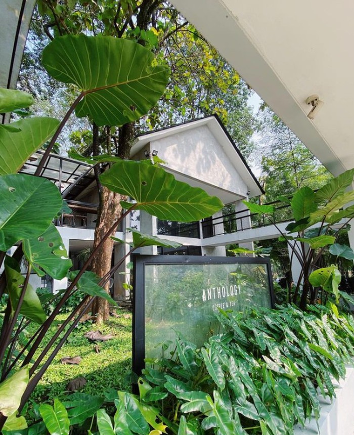 5 Kafe Keren di Sentul Ini Cocok Untuk Me Time Akhir Pekan