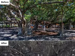 Foto Sebelum dan Sesudah Kebakaran Hawaii, Bikin Air Mata Menetes