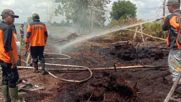 Kejadian kebakaran hutan dan lahan (karhutla) di Kota Palangka Raya kembali meningkat dalam sepekan terakhir. (Dok. mediacenter.palangkaraya)