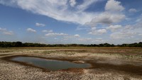 Sebuah danau yang digunakan untuk menampung air bagi irigasi pertanian, mengering akibat kemarau di Anamaduwa, Sri Lanka dalam foto yang diambil pada 20 Agustus 2023.  