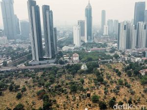Krisis RTH Jadi Salah Satu Penyebab Parahnya Polusi Jakarta