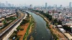 Krisis RTH Jadi Salah Satu Penyebab Parahnya Polusi Jakarta