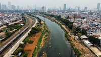 Menanggapi hal itu, Dinas Ketahanan Pangan, Kelautan dan Pertanian (DKPKP) Provinsi DKI jakarta memanfaatkan lahan kosong dan rooftop untuk menanam pohon.