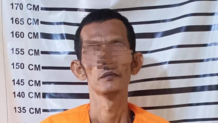 Pelaku perampokan dan pelecehan terhadap IRT di Langkat ditangkap. (Dok Polres Langkat)