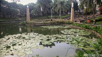 Karena itu, Dinas Ketahanan Pangan, Kelautan dan Pertanian (DKPKP) Provinsi DKI jakarta memanfaatkan lahan kosong dan rooftop untuk menanam pohon.
