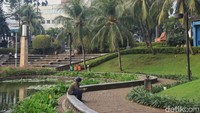 Peningkatan RTH kerap dianggap sebagai langkah klasik untuk mengatasi polusi udara, karena vegetasi atau tumbuhan yang ada di RTH akan menyerap polutan dan menghasilkan oksigen. Dengan demikian, kualitas udara dapat lebih terjaga. (Ari Saputra/detikcom)