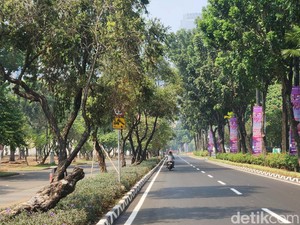 Pengelola Keberatan Area GBK Jadi Lokasi Berburu Koin!