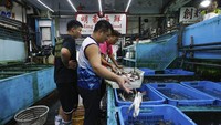 Para pekerja memilah kepiting di pasar grosir yang biasa menjual makanan laut Jepang di Hong Kong, Kamis (24/8/2023). Kini pasar itu terkena dampak larangan impor makanan laut Jepang.