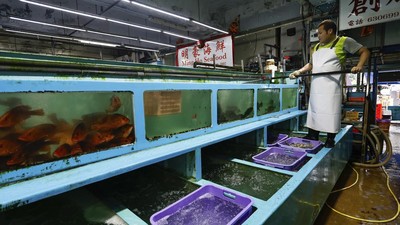 Protes Limbah, Hong Kong Terapkan Larangan Impor Makanan Laut Jepang