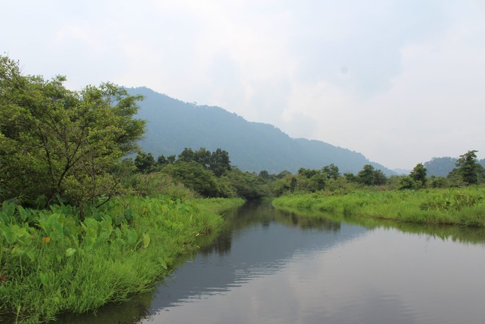 Rawa Danau