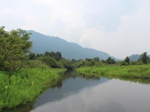 Inilah Rawa Danau, Rawa Purba Pemasok Air Baku Wilayah Industri di Banten