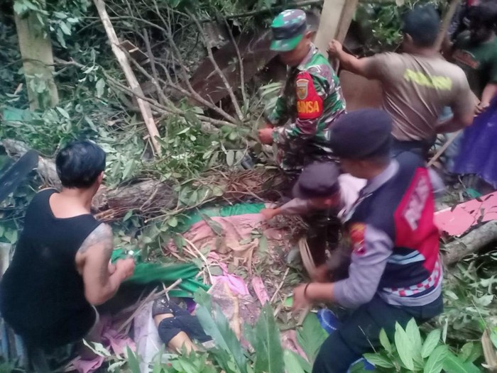 Wanita tewas usai warung miliknya tertimpa pohon tumbang