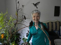 Keren! Wanita Ini Rela Sulap Apartemennya Jadi Rumah Sakit untuk Burung