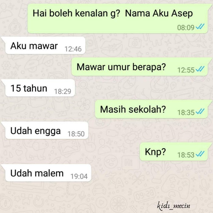 Chat kocak jomblo