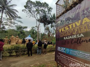 Festival Coffee Rajadesa, Sensasi Cicipi Kopi Ciamis Langsung di Kebunnya