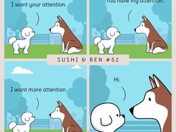 Kalau Anjing Bisa Ngomong, Kira-kira Gini Nggak ya Obrolannya?