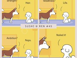 Kalau Anjing Bisa Ngomong, Kira-kira Gini Nggak ya Obrolannya?