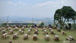 Sejuk! Ngopi di Kafe dengan Pemandangan Gunung Salak