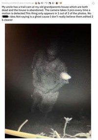 Penampakan hantu di kamera