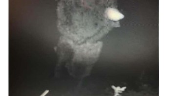 Sesosok hantu tidak sengaja terpotret kamera pria yang menggeunakan trail. Penampakan itu terjadi di rumah kedua orang tua pria tersebut. (Foto: Reddit)