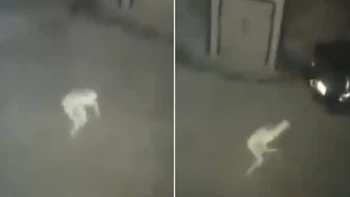 Sosok misterius pucat terekam CCTV, picu perdebatan di kalangan penggemar paranormal. Foto: Reddit