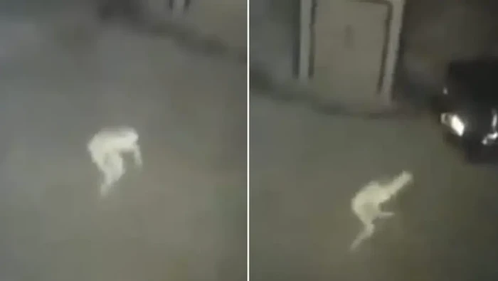 Penampakan hantu di kamera Penampakan hantu di kamera