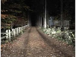 Seram Banget Bikin Merinding! Potret Hantu yang Terekam Kamera