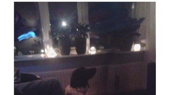 Sesosok hantu terekam tengah muncul di sela jendela. Wajahnya terlihat menyeramkan. (Foto: Reddit) Foto: Reddit