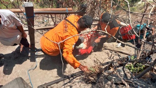 Penanganan WNA Jerman yang mengalami patah kaki kakan saat turun ditangga menuju pantai Kelingking di Nusa Penida Klungkung, Sabtu (26/8/2023). (Polsek Nusa Penida)