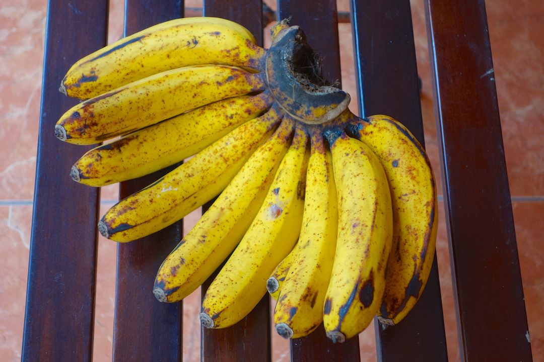 pisang barangan.
