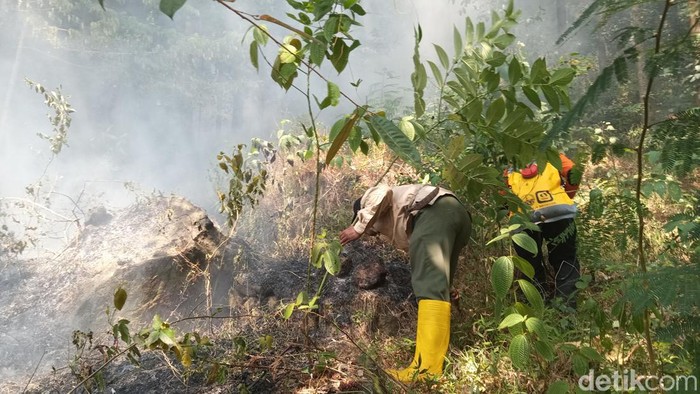 Proses pemadaman api yang membakar hutan Gunung Ciremai di Kuningan. (