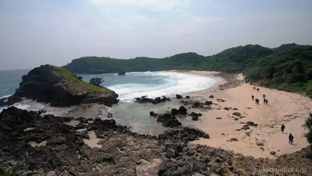 Pulau Nusa Barong Jember.