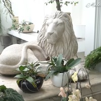 Patung singa kembali menghiasi area taman hingga teras di depan rumah milik pria yang akrab disapa Bamsoet itu. (Foto: YouTube/MelaneyRicardo)