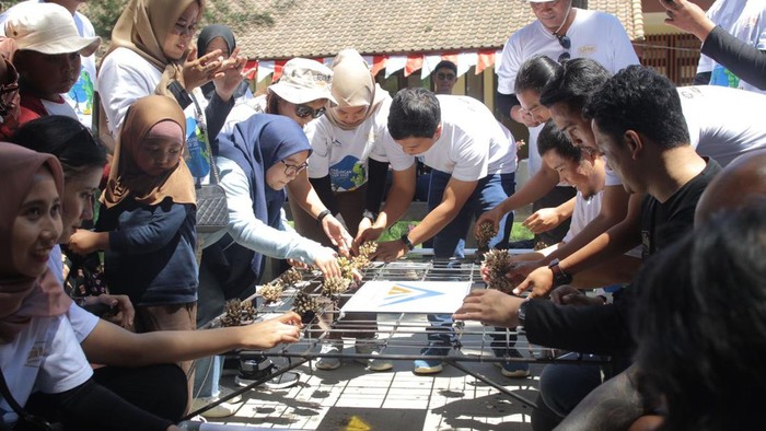 transplantasi terumbu karang di perairan Grand Watudodol (GWD) Bangsring, Wongsorejo, Banyuwangi