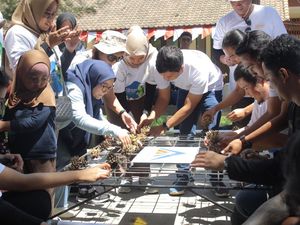 Puluhan Terumbu Karang Ditanam di Perairan Grand Watudodol Banyuwangi