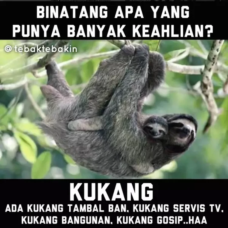 Tebak-tebakan ini memang garing, tapi lumayan bikin senyum sedikit. Semangat ya buat kamu!