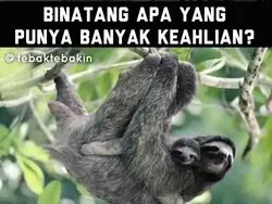 10 Tebak-tebakan Garing Bikin Mesem