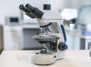 Ketahui Bagian-bagian Mikroskop Sebelum Menggunakannya di Laboratorium