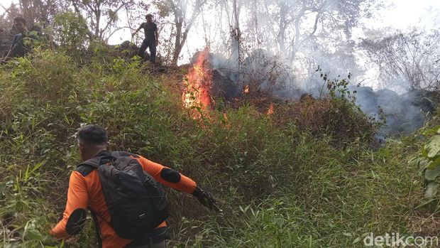 Kebakaran hutan di Gunung Ciremai, Minggu (27/8/2023).