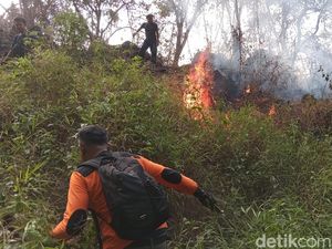 Waspada Kebakaran, Satgas Karhutla Gunung Ciremai Segera Dibentuk